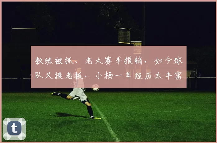 教练被抓、老大赛季报销，如今球队又换老板，小杨一年经历太丰富