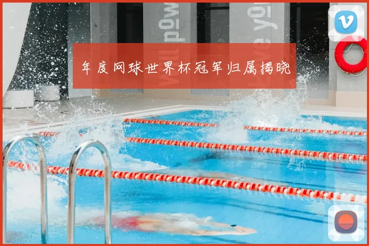 年度网球世界杯冠军归属揭晓