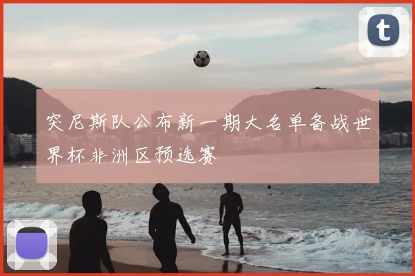 突尼斯队公布新一期大名单备战世界杯非洲区预选赛