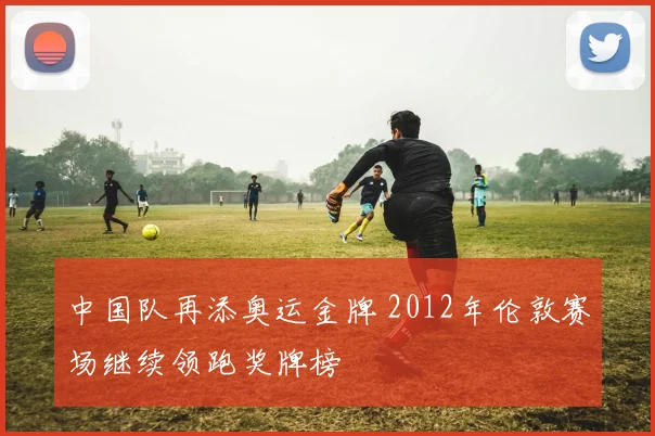 中国队再添奥运金牌 2012年伦敦赛场继续领跑奖牌榜