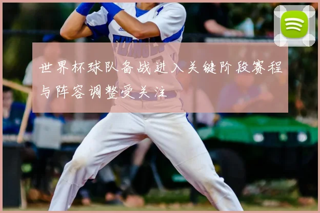 世界杯球队备战进入关键阶段赛程与阵容调整受关注