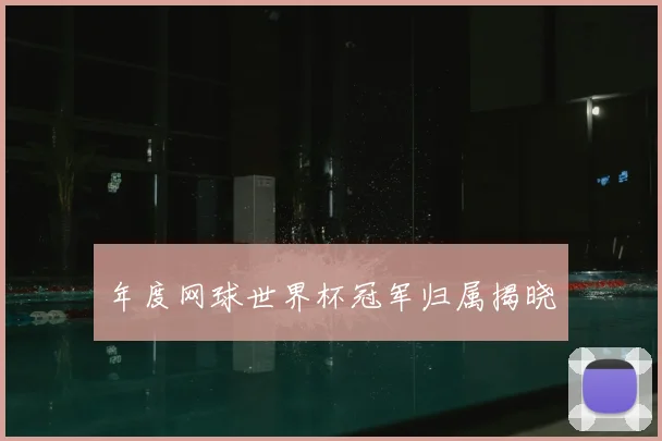 年度网球世界杯冠军归属揭晓