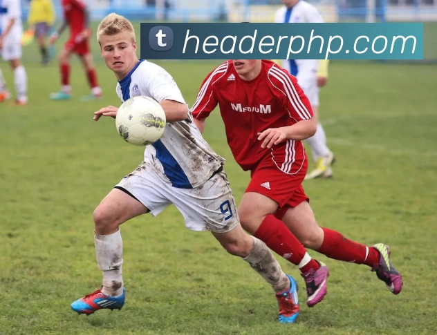 App Interface Preview